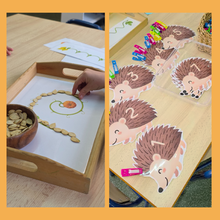 Cargar imagen en el visor de la galería, 2 Propuestas - Pinchos de erizo y Trazos de calabaza
