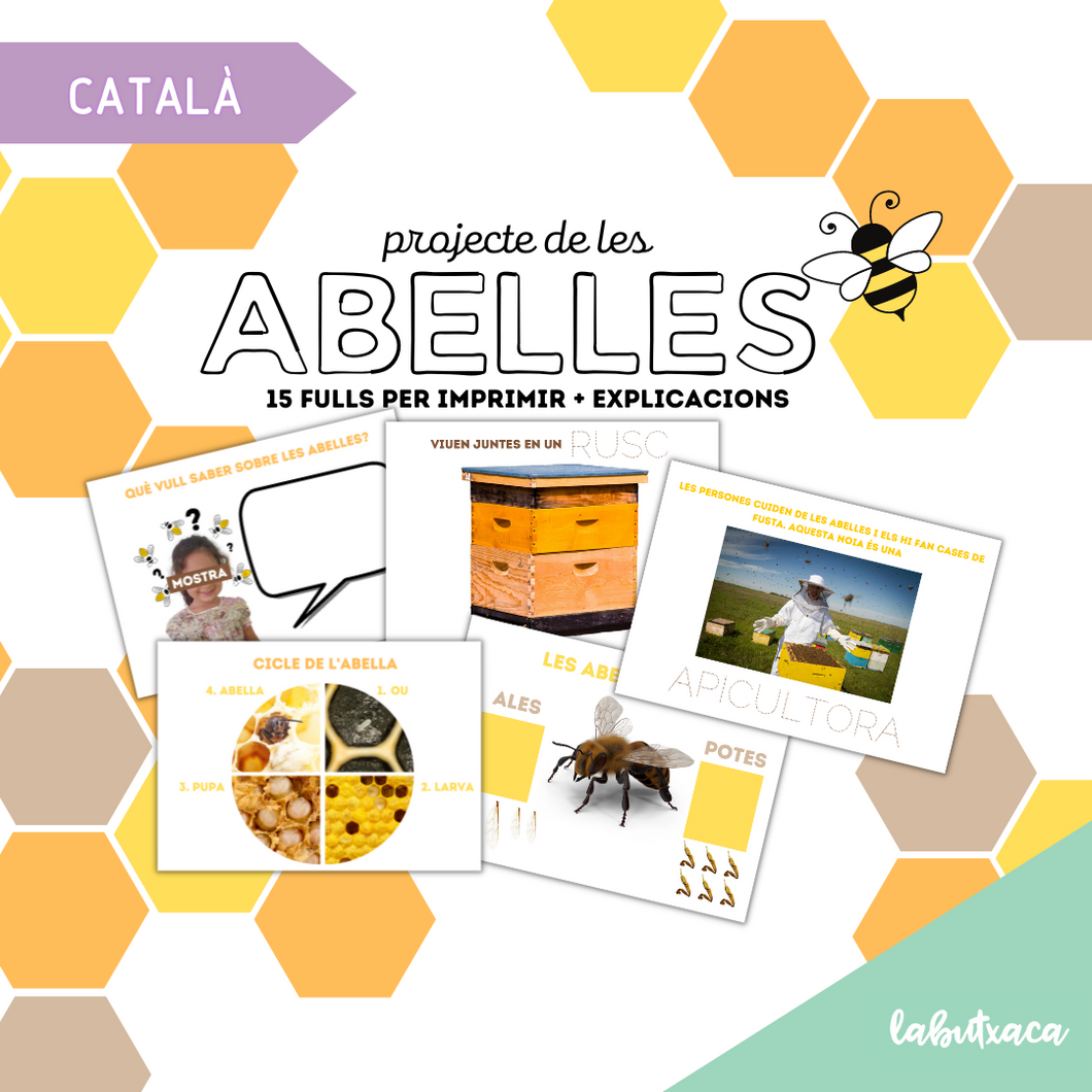 Projecte de les Abelles per Imprimir